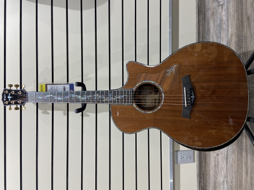 Store Special Product - Taylor Guitars - PS14CE H RW